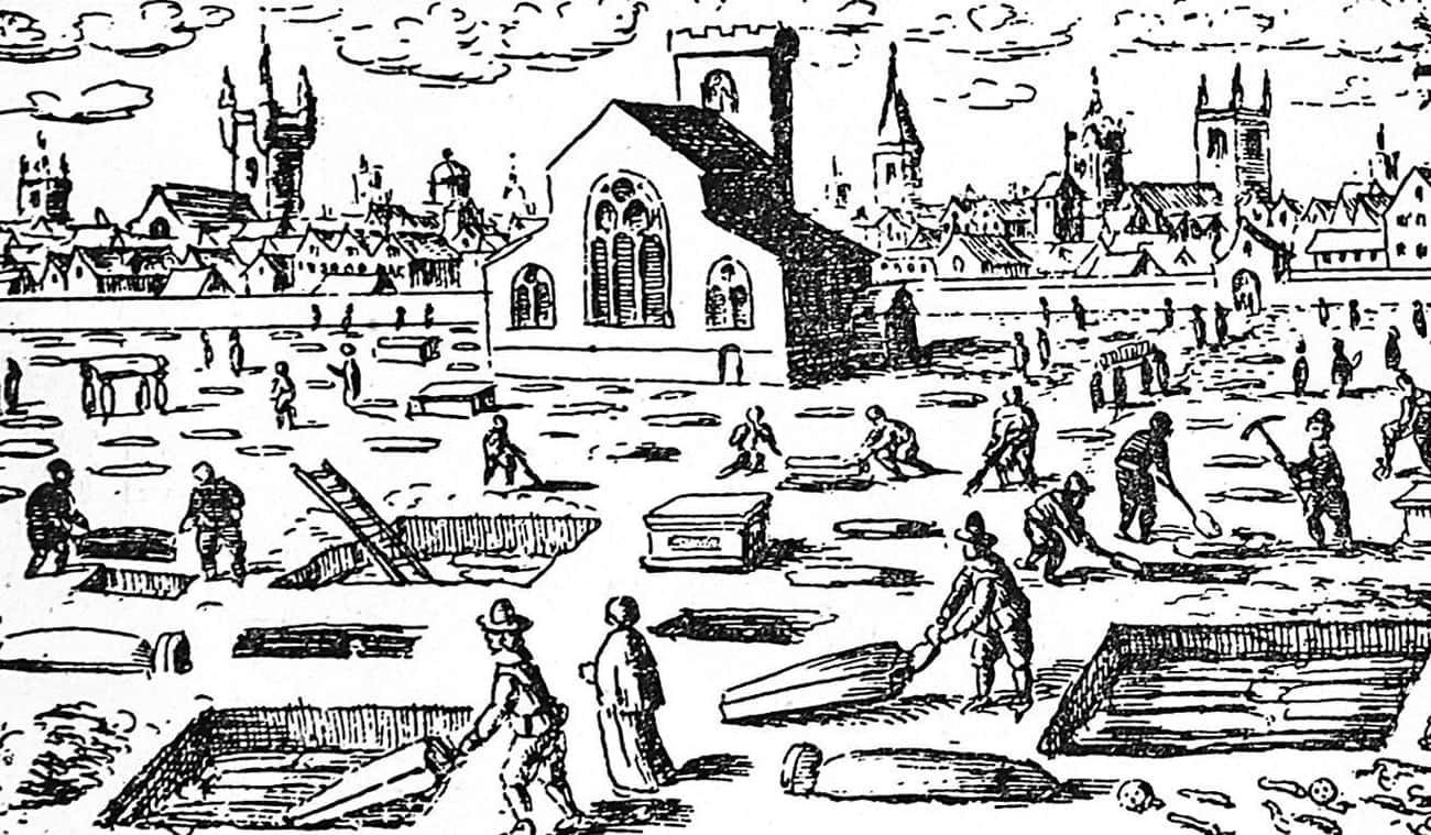 死尸版千层面：在“黑死病”期间，成为收尸人是一种怎样的体验？