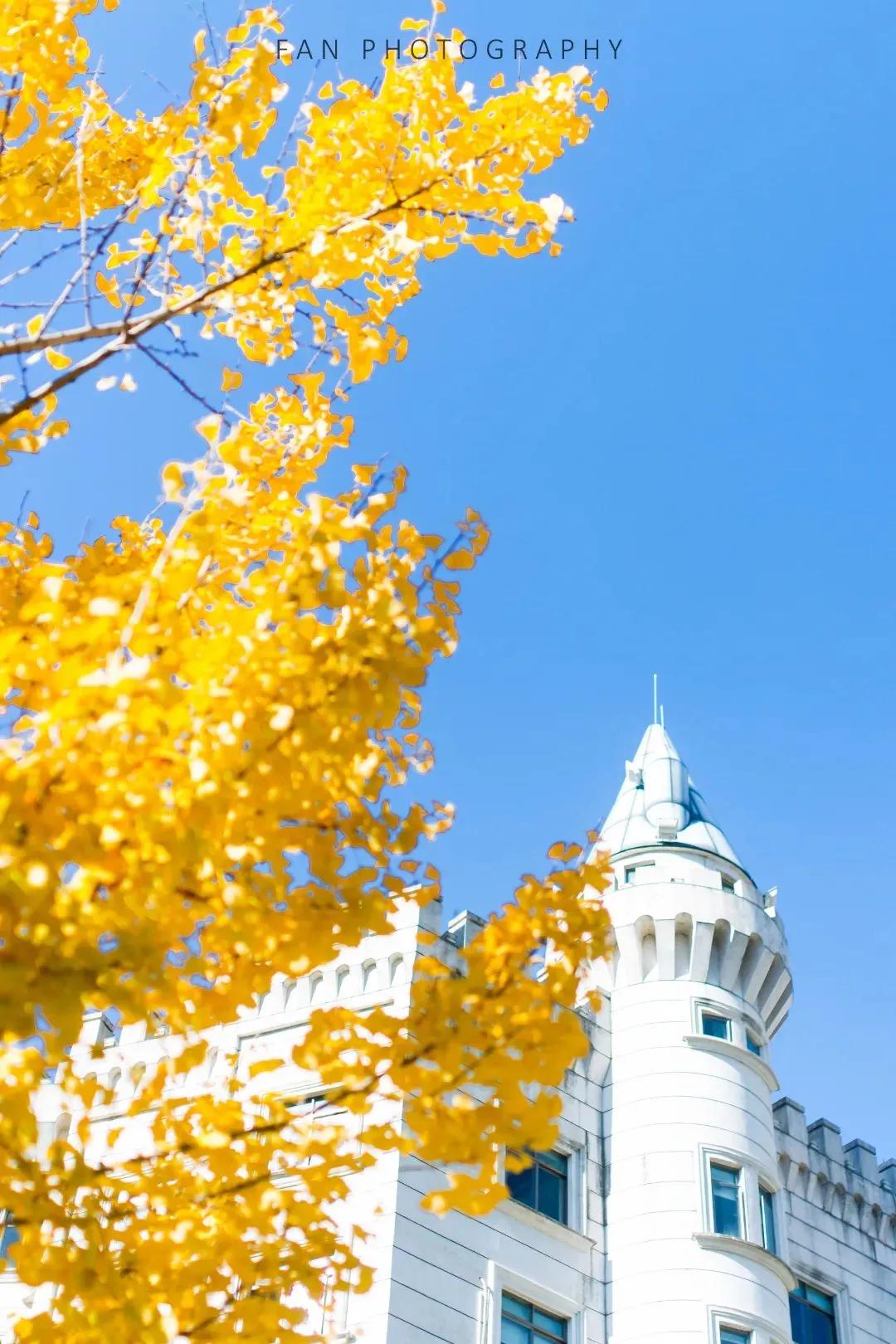 中国唯一用欧元买菜的江南小城,这座城市遍地都是豪车