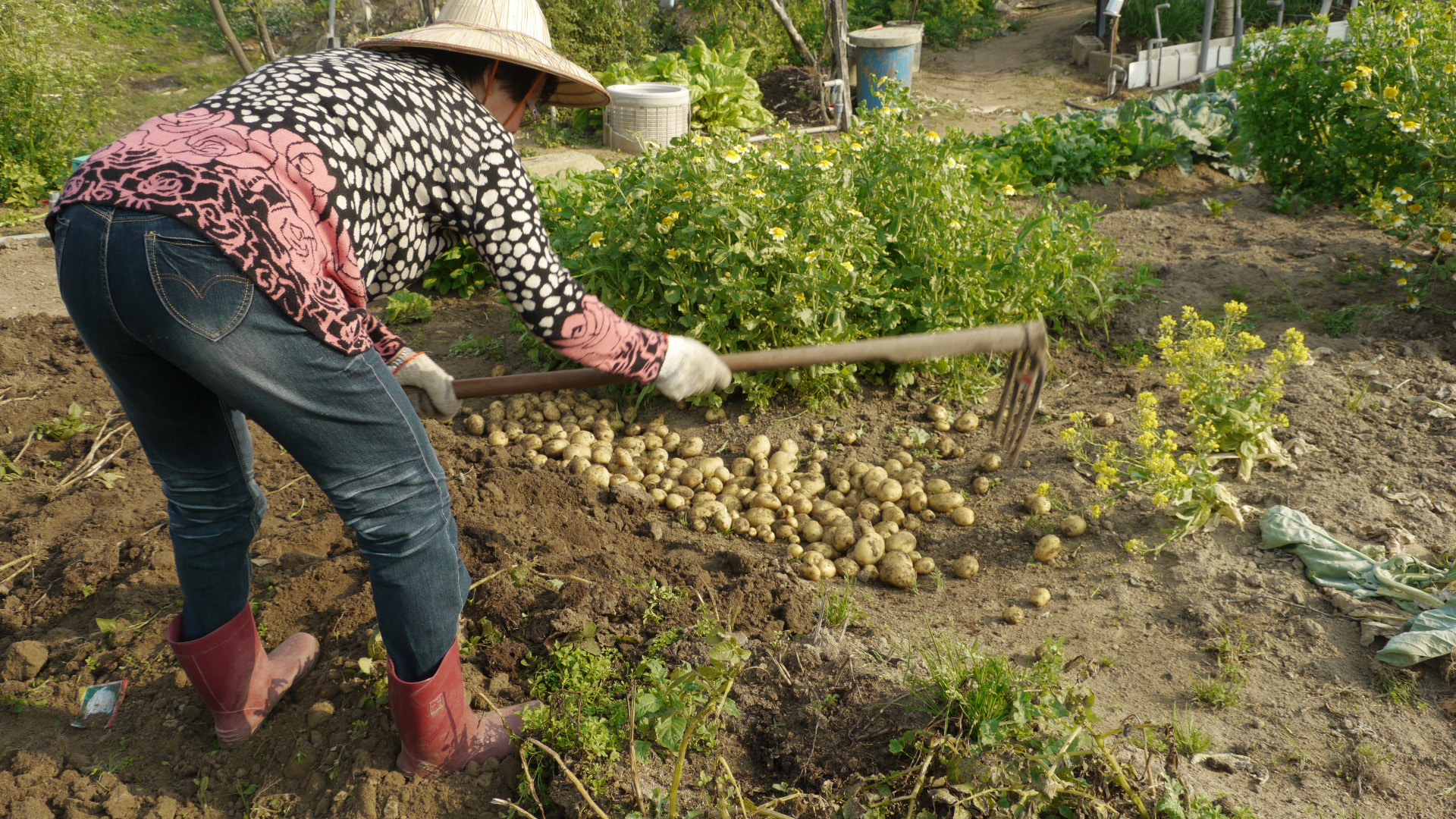 2019集美阿尔勒摄影展是什么,第28届厦门国际展览