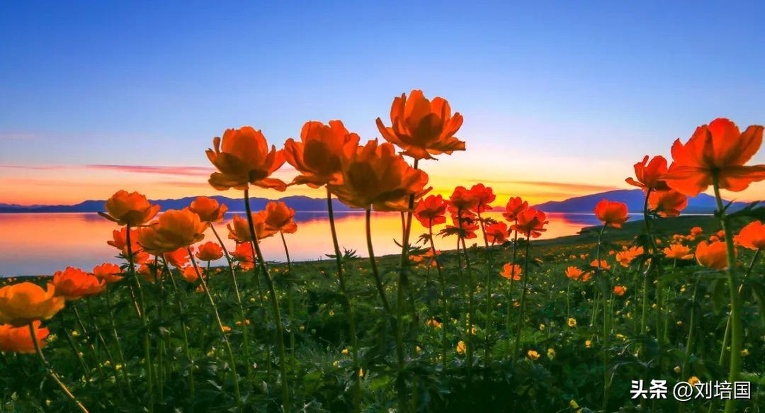 蒙特涮府自助,蒙特涮府怎么样