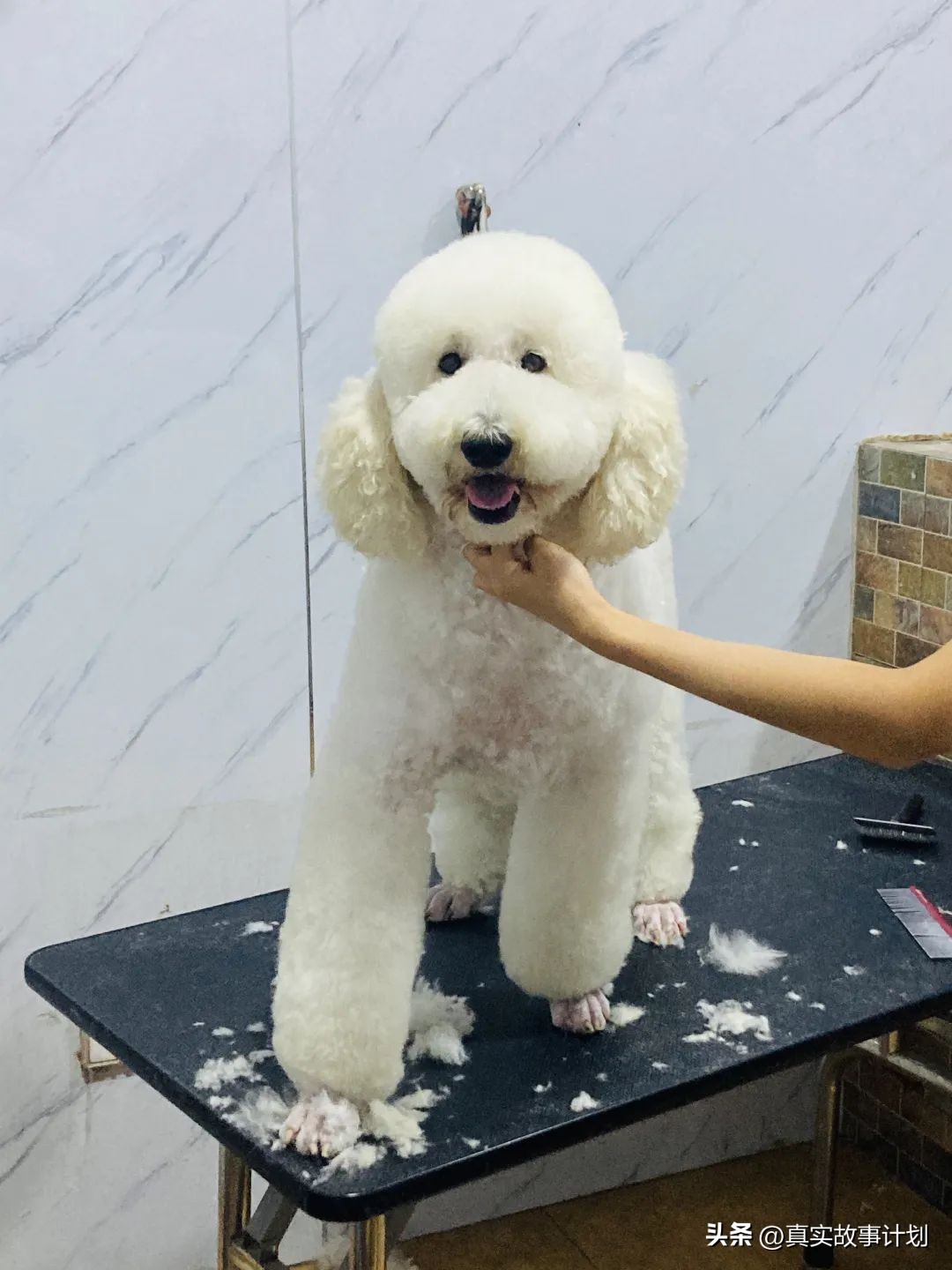 在家啃老，年轻人不工作的退路