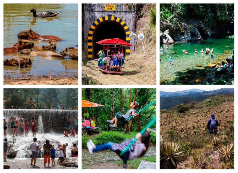 鍝ヤ鸡姣斾簹鍦ｅ懆,鎺㈢储鍝ヤ鸡姣斾簹灏忛晣鏀荤暐