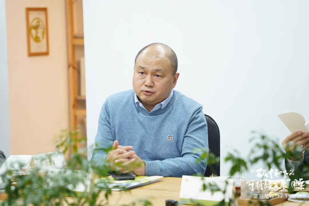 专家谈碳中和,碳中和专家访谈