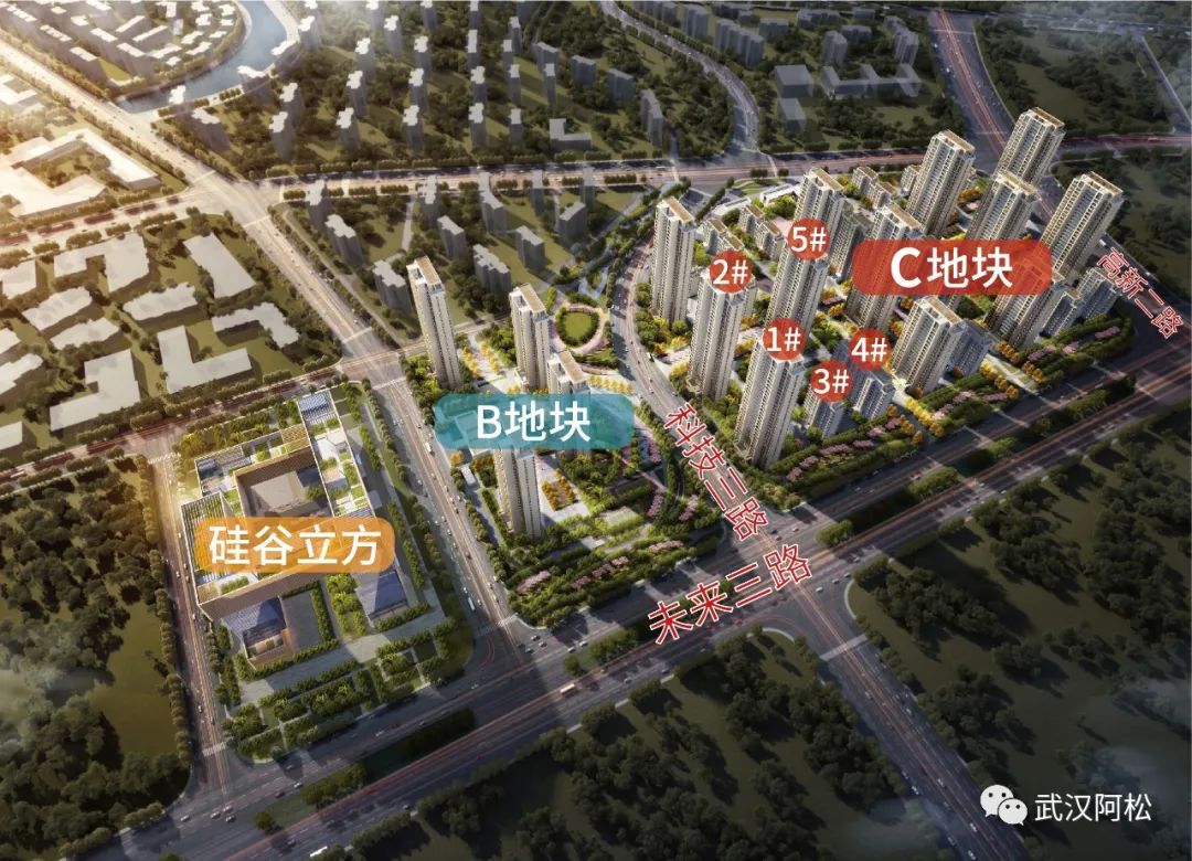光谷步行街楼市现状,光谷楼市最新行情