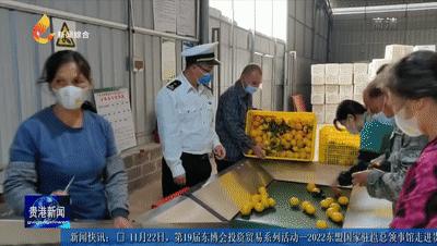 年审通过“贵港产”水果即将远销海外