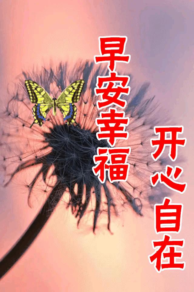 2023年03月03日星期五农历：癸卯年【兔年】二月十二八九第9天