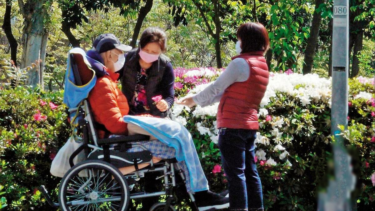 王馨平父亲及母亲,王馨平和她爸爸的视频