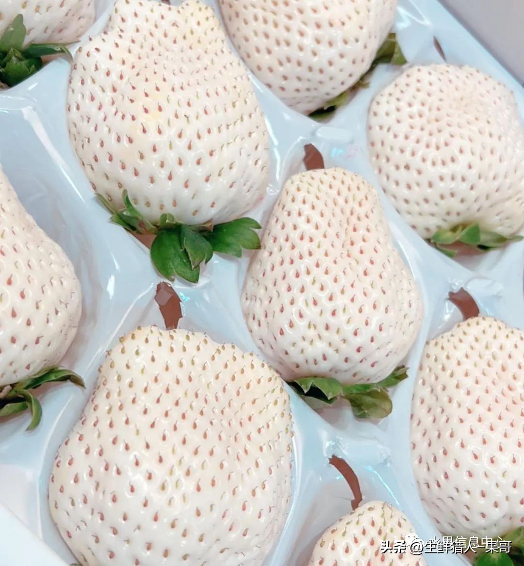 最好吃的白草莓品种前十名,好吃实惠的草莓品种有哪些
