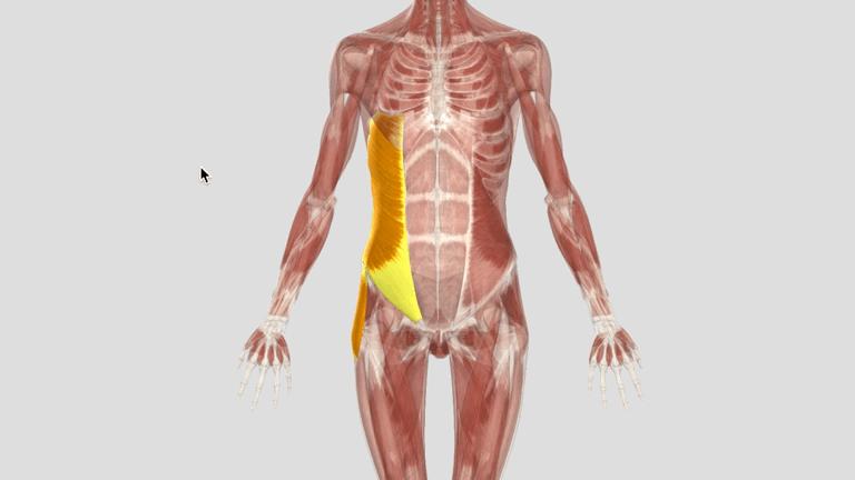 刘畊宏的毽子操不是一般人能练的,刘畊宏毽子操有风险吗