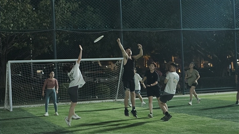 椋炵洏杩愬姩鐪熺浉,鍥藉唴椋炵洏杩愬姩