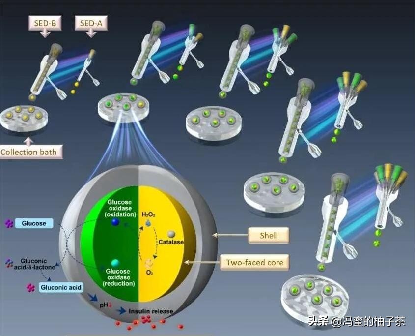 探索人工多酶网络构建代谢的优势:一种新的途径吗？