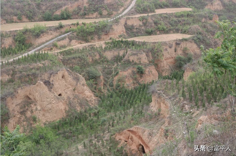 织绫人|绫李沟的记忆