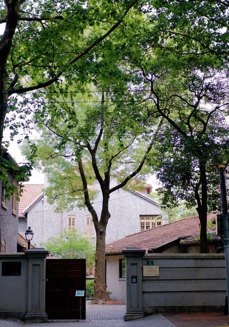 上海滩豪门恩怨，第一私人花园，免费开放参观