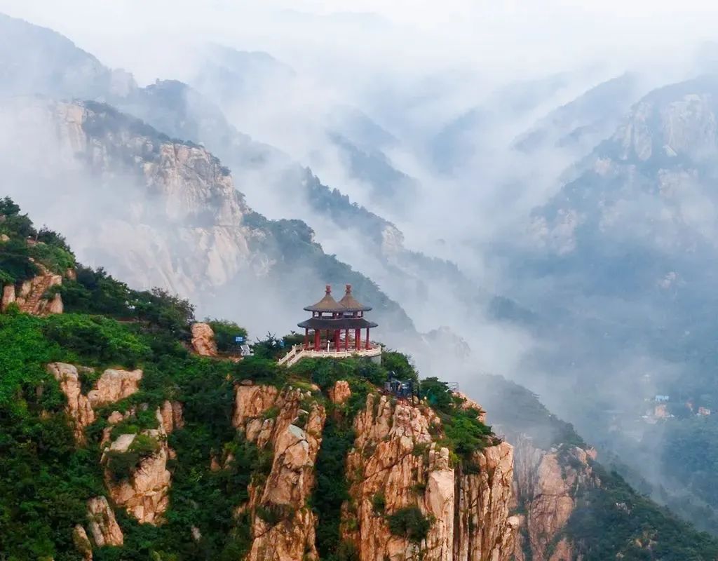 抓住秋天摘苹果,抓住秋天的尾巴赏红叶