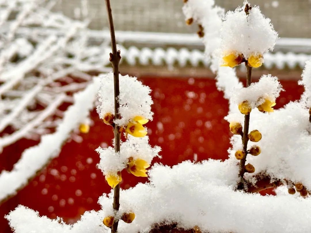 石家庄下雨哪里风景最美,石家庄冬季风景好的地方
