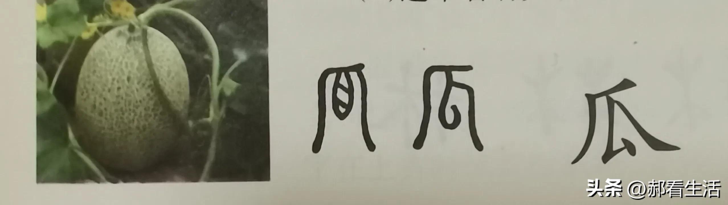 趣说汉字是什么,六书中造字方法怎么区别