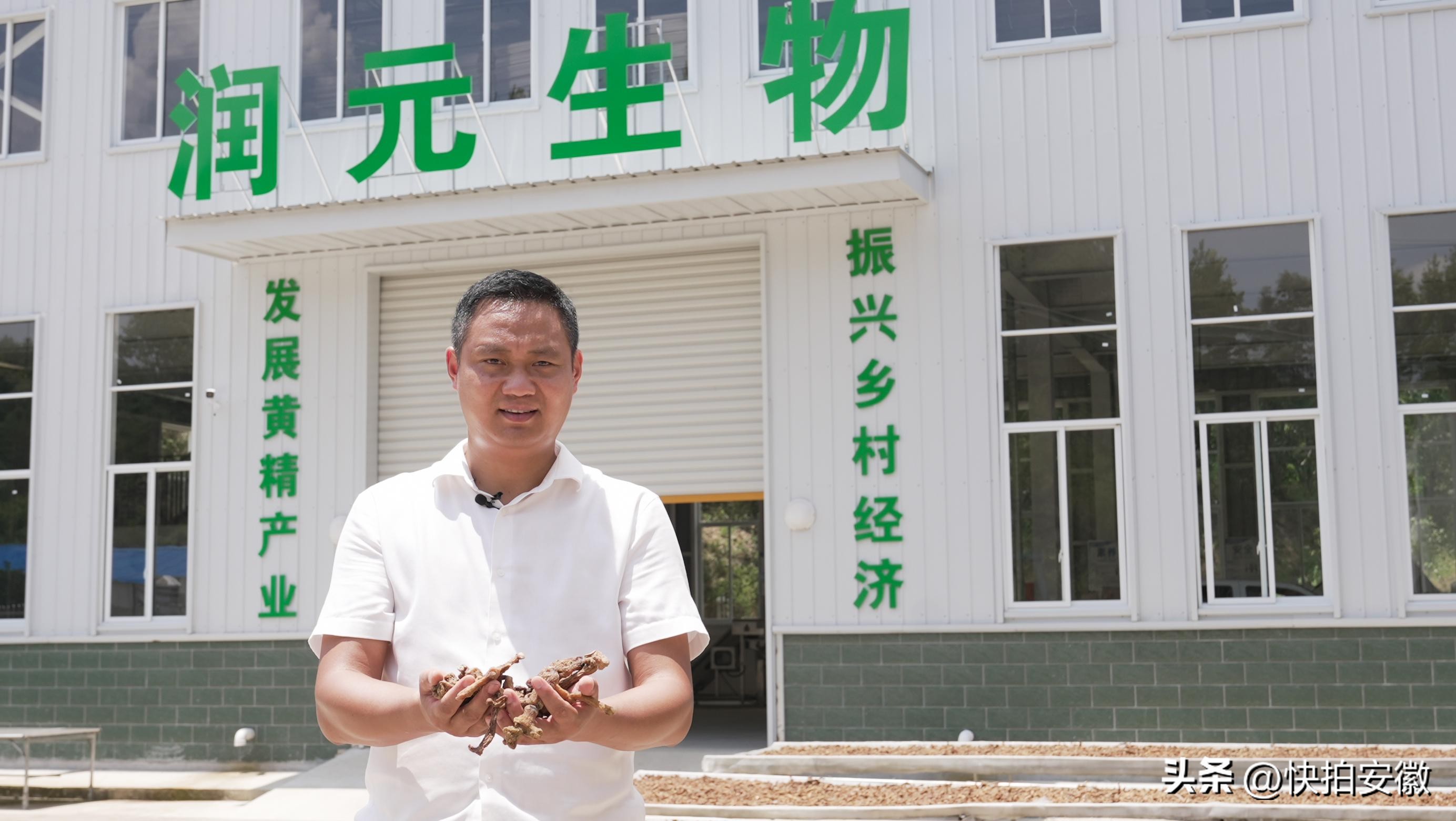 他把“黄精”做成了“黄金”，这位安徽农民为什么这么牛