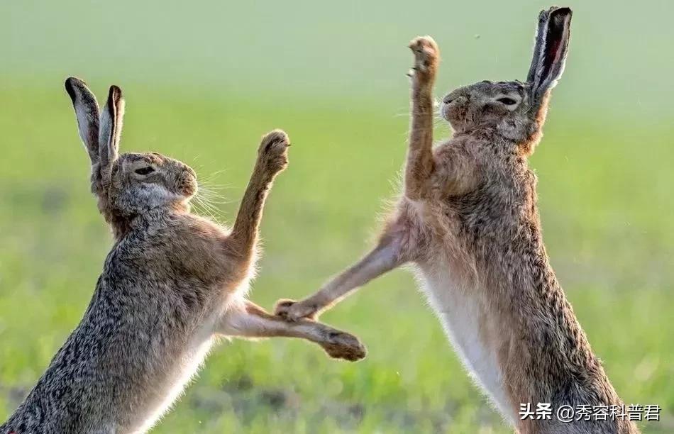 *拍偷**的夫妻生活照，羞羞的