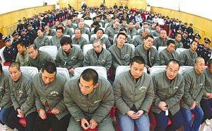 河北唐山杨树宽合集,河北黑老大覆灭记