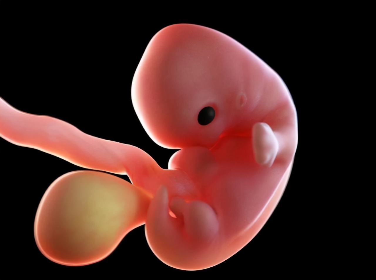 孕期花费清单大全,孕期囤货新手宝妈必备清单