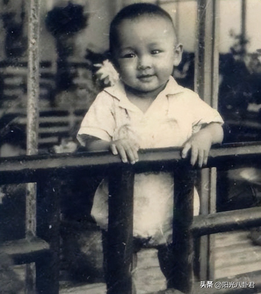 十年前汶川主持人落泪,2008年汶川大地震李小萌实地采访