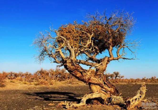 行万里路到底应该怎么做,行万里路指去哪