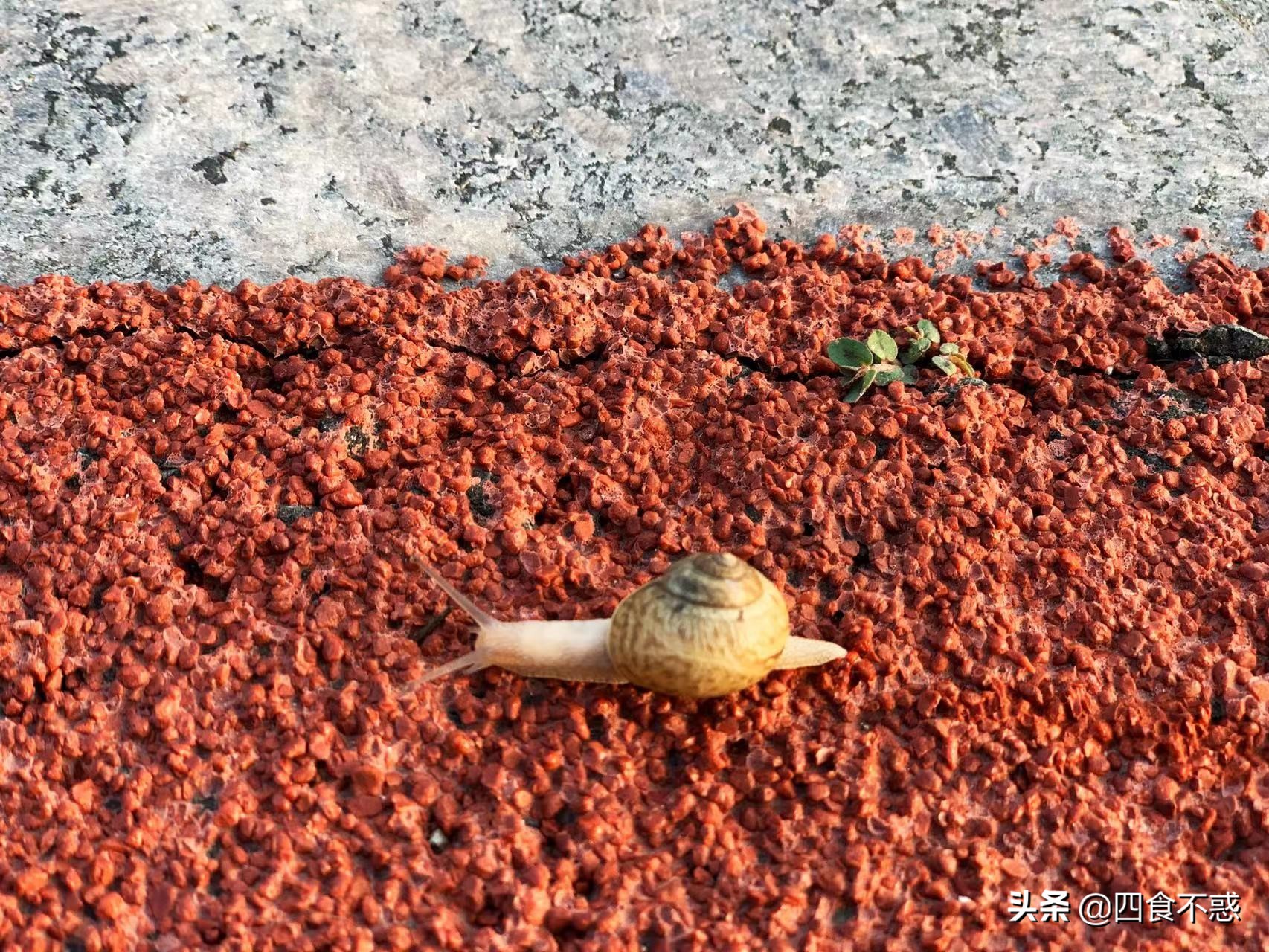 山东荣成是宜居的地方吗,威海和荣成哪个最适合定居