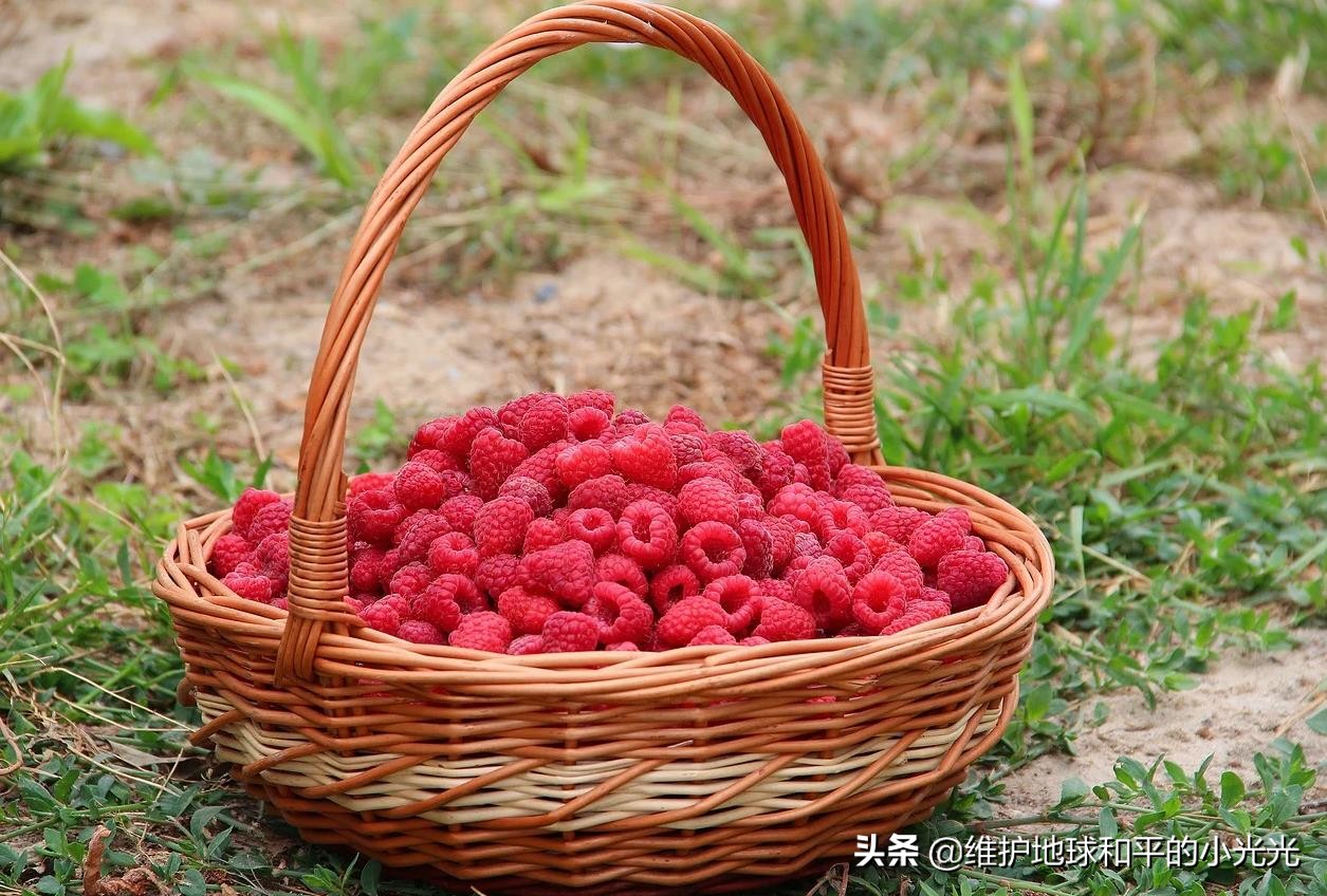 怀念所有好吃的零食,怀念当地美食