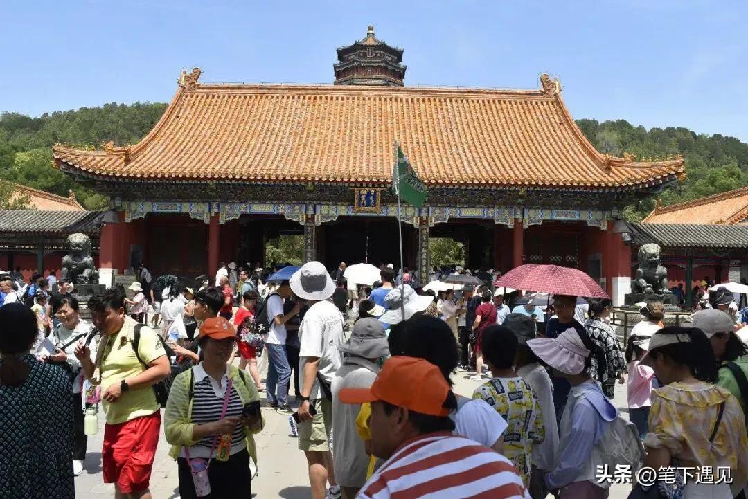 48岁导游中暑后去世,北京导游中暑身亡事件