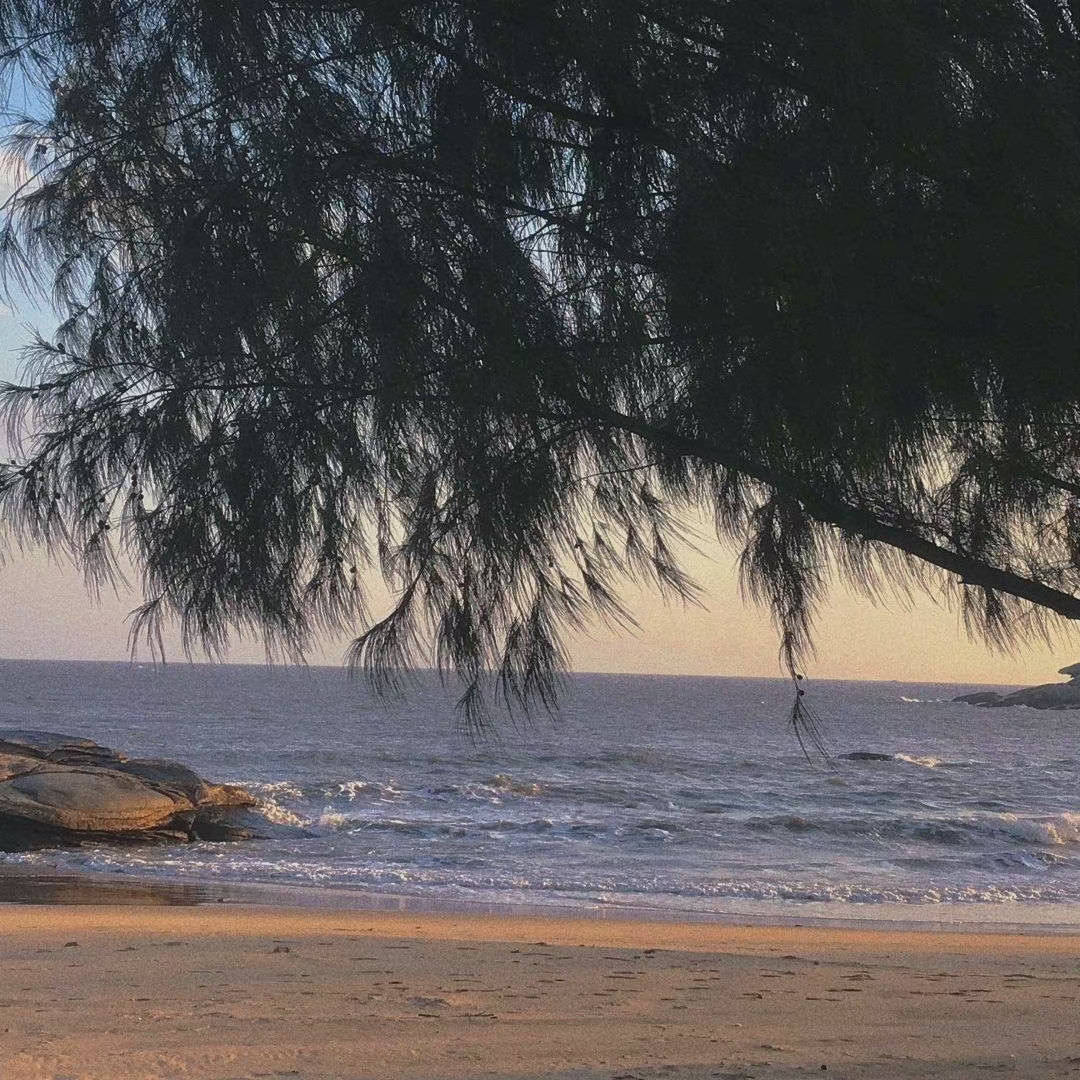 关于友谊的温柔文案高级,关于友谊的温柔文案多人