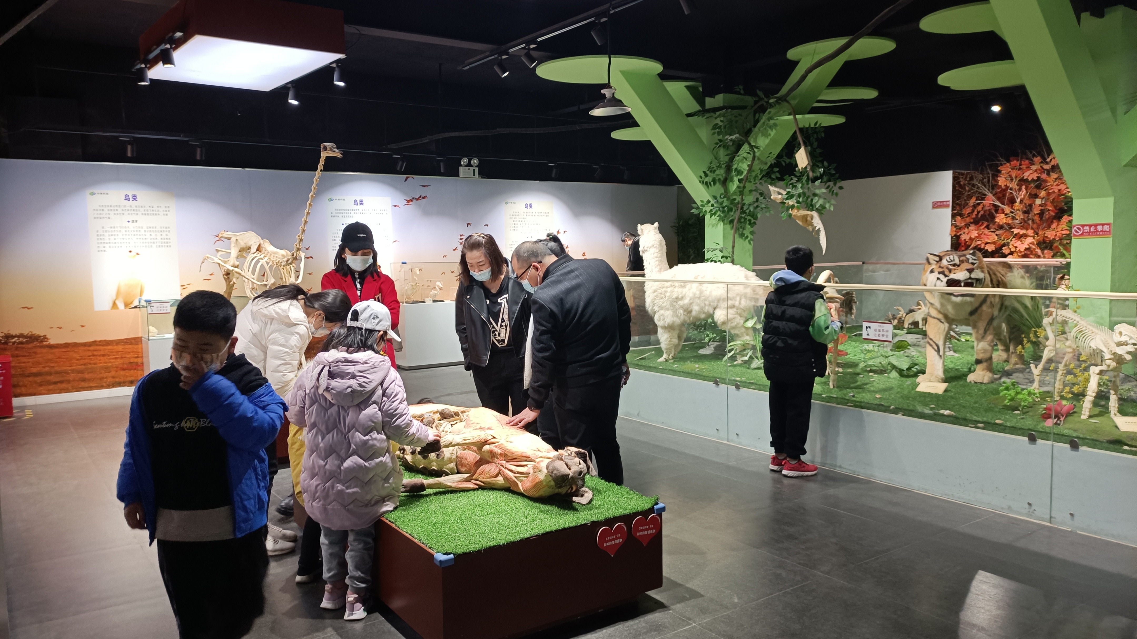 郑州周边游玩夏季景点攻略,郑州周边避暑旅游景点推荐