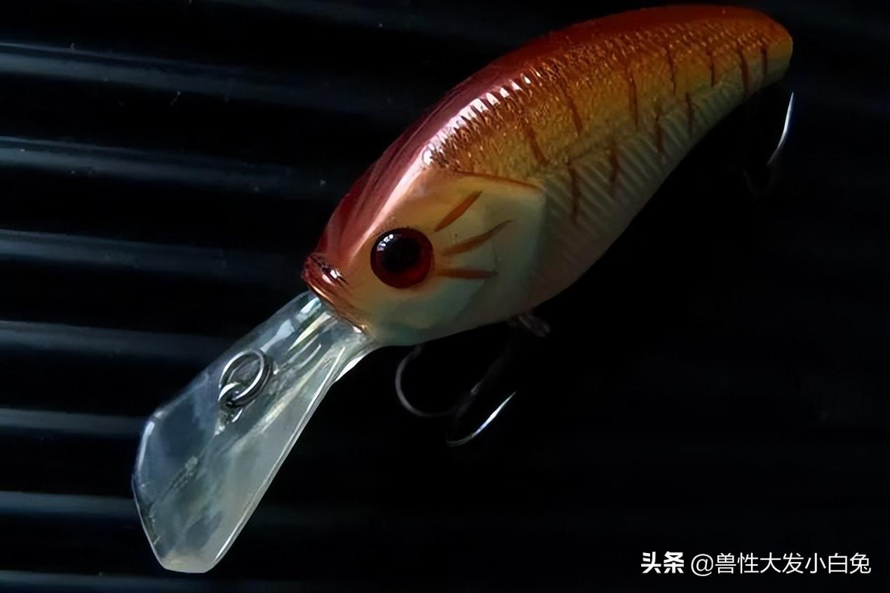 胡须佬路亚饵,路亚必备假饵