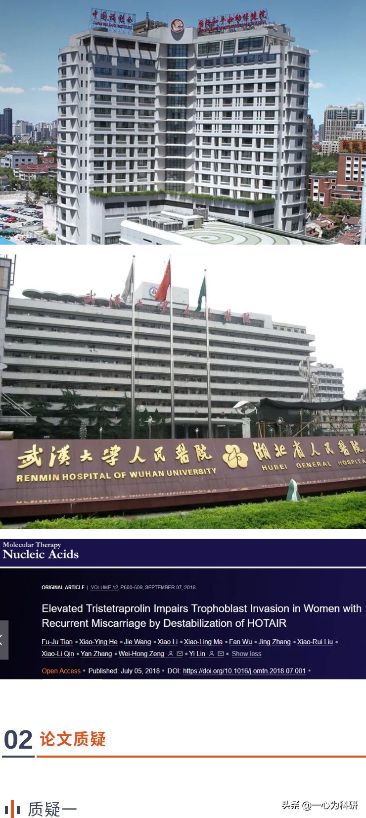 上海国际和平妇幼保健院,上海国际妇幼和平保健院