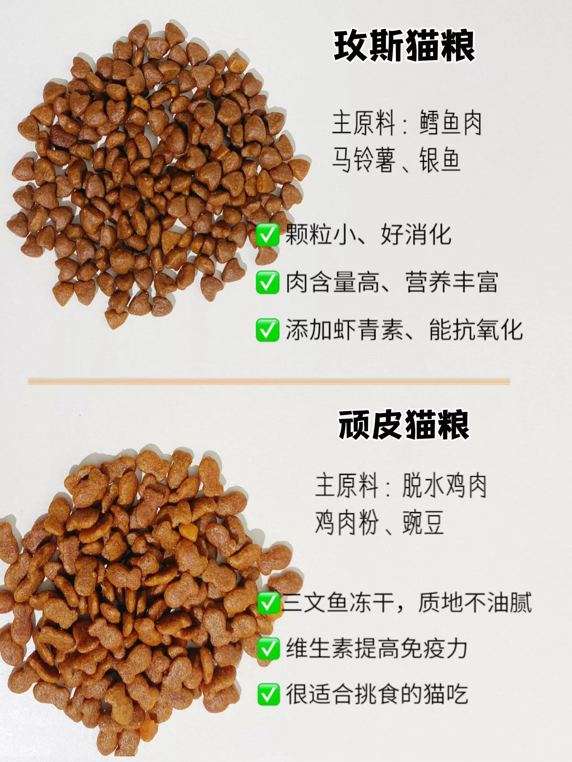 8-9个月的猫猫粮推荐,8款优质进口猫粮推荐