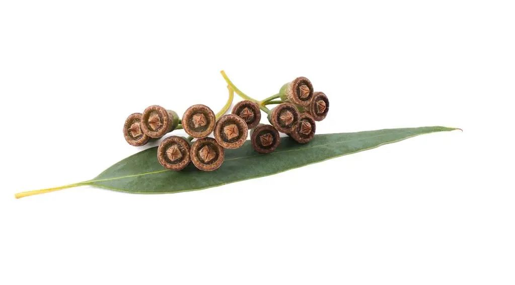 北仑疫情还回得了家吗,北仑疫情出不去了么