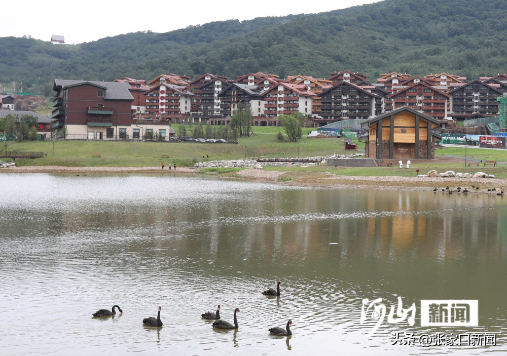 河北张家口旅游打卡,河北张家口网红打卡景点