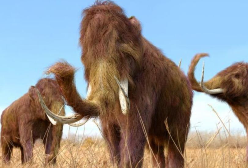 北极挖出冰冻4万年的生物,地下挖出千年老黄金