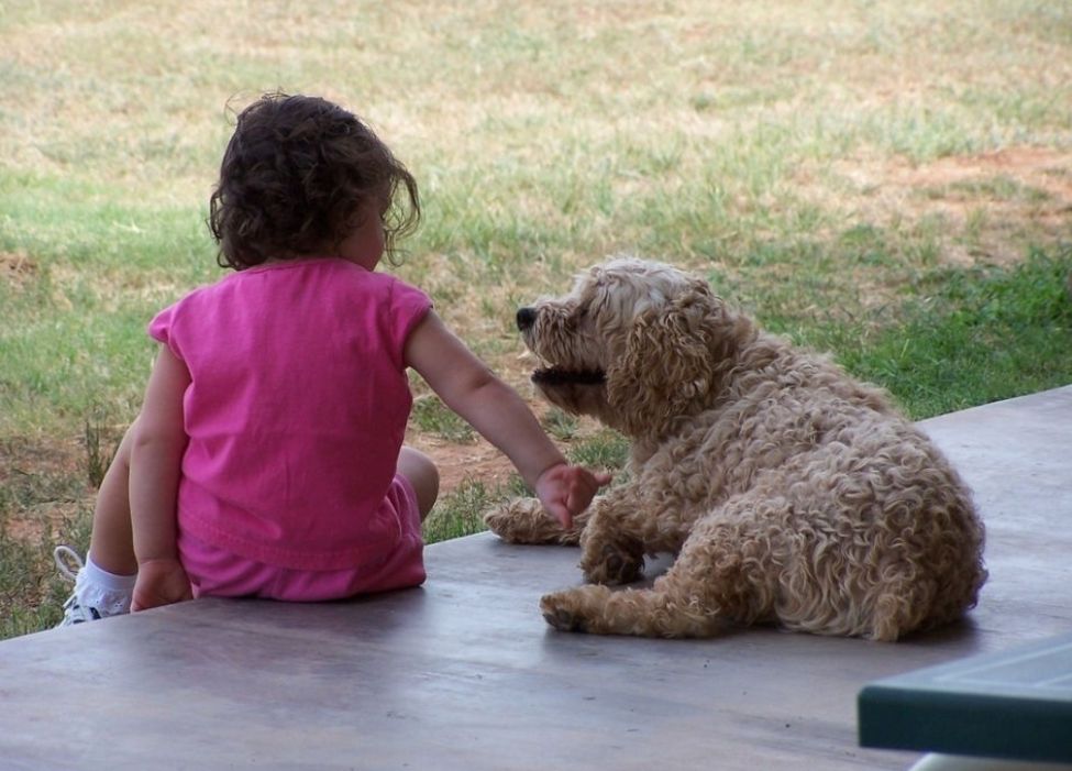 “妈妈，你死了我咋办？”一位妈妈写下《去世指南》，温暖了孩子