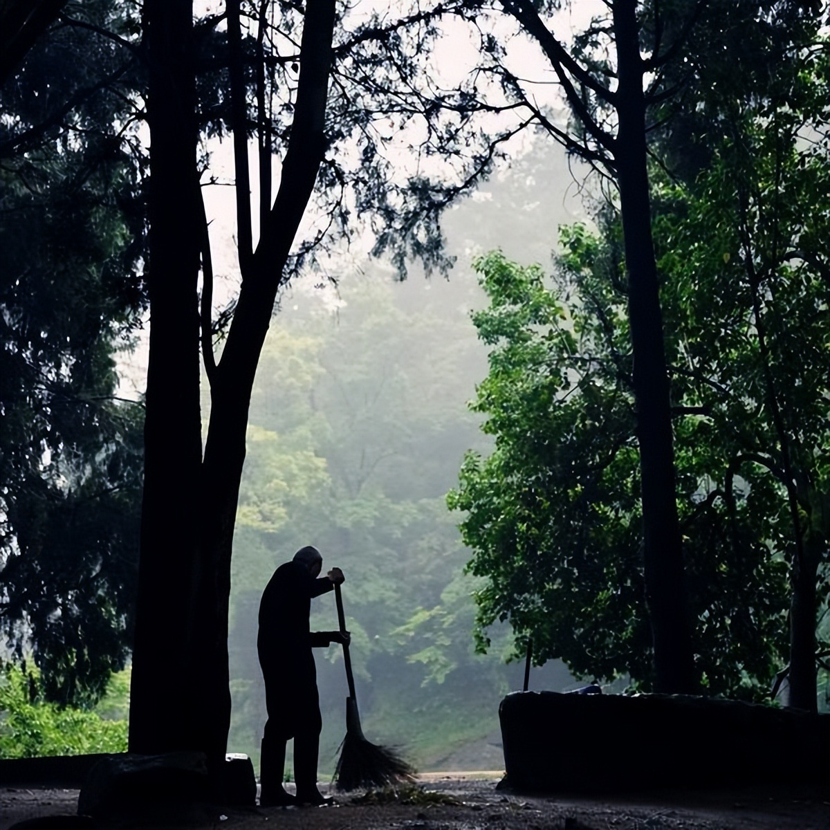 日本园林的意境,日式园林的禅意