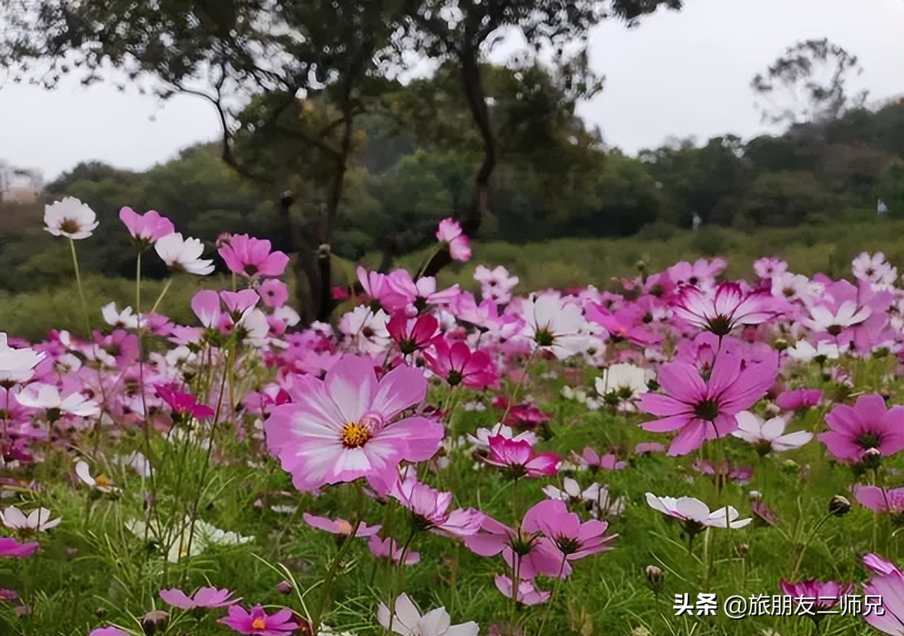 广州去西藏沿途景点攻略,东莞出发5天自由行攻略