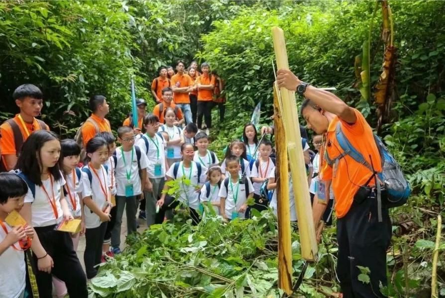 南洋夏令营丨暑期研学地点推荐——「云南西双版纳」探秘傣族文化