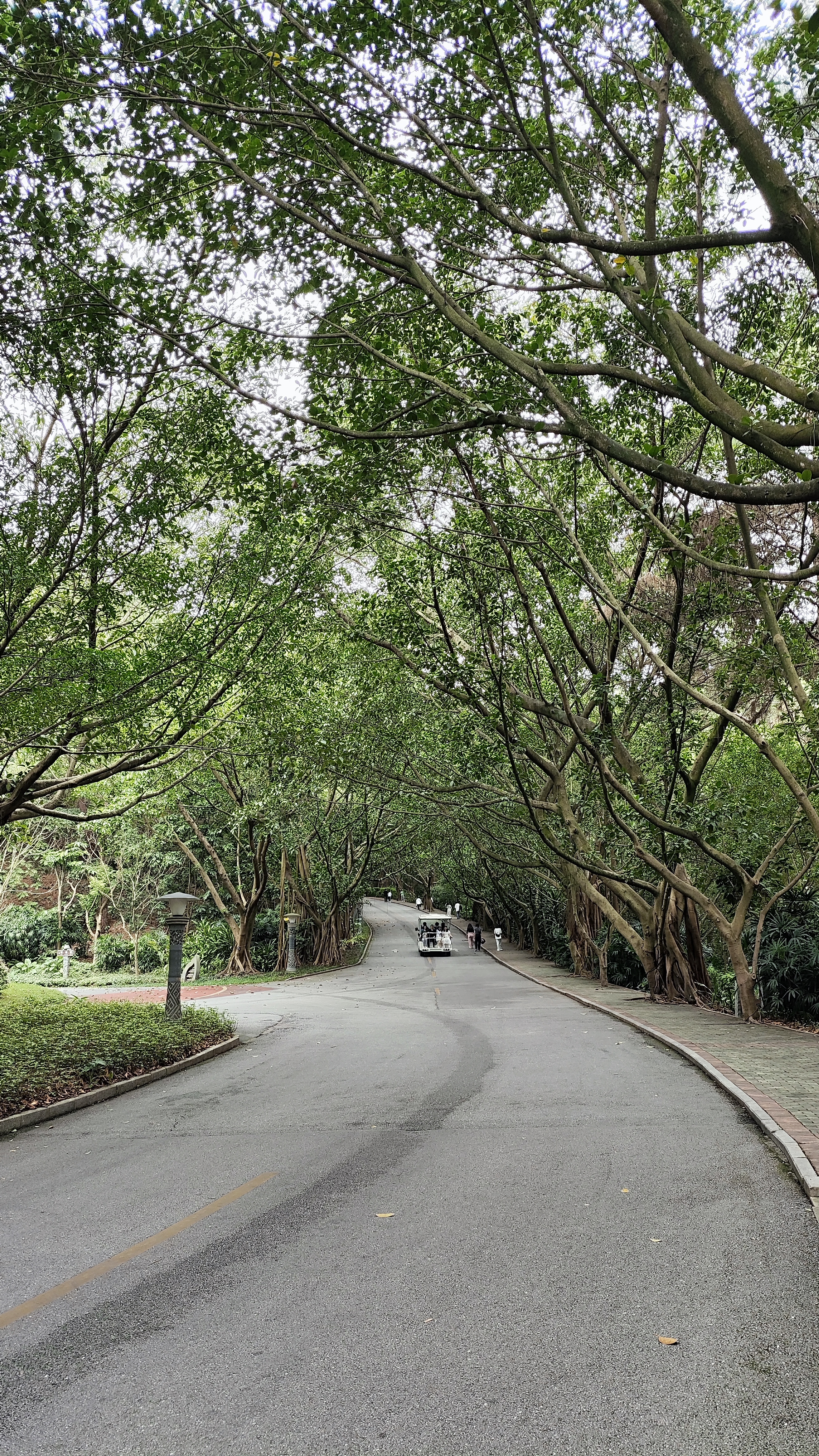 2个人去云南旅游5天多少钱,去北京穷游三天需要多少钱费用