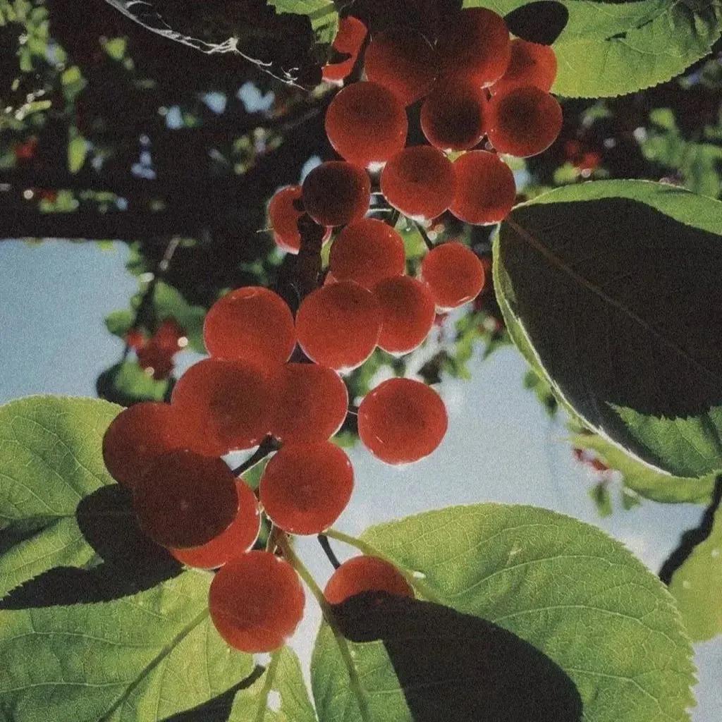 微信背景图文艺小众,小众背景图高清全屏