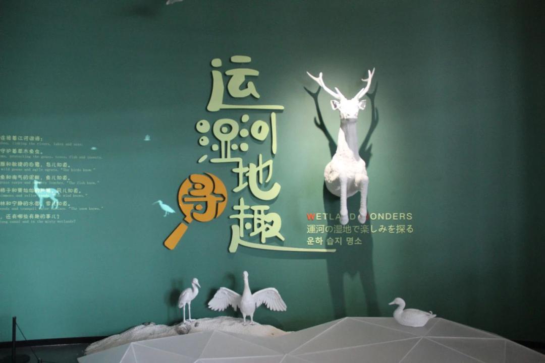 上海2021年新开的博物馆,2019年十大博物馆