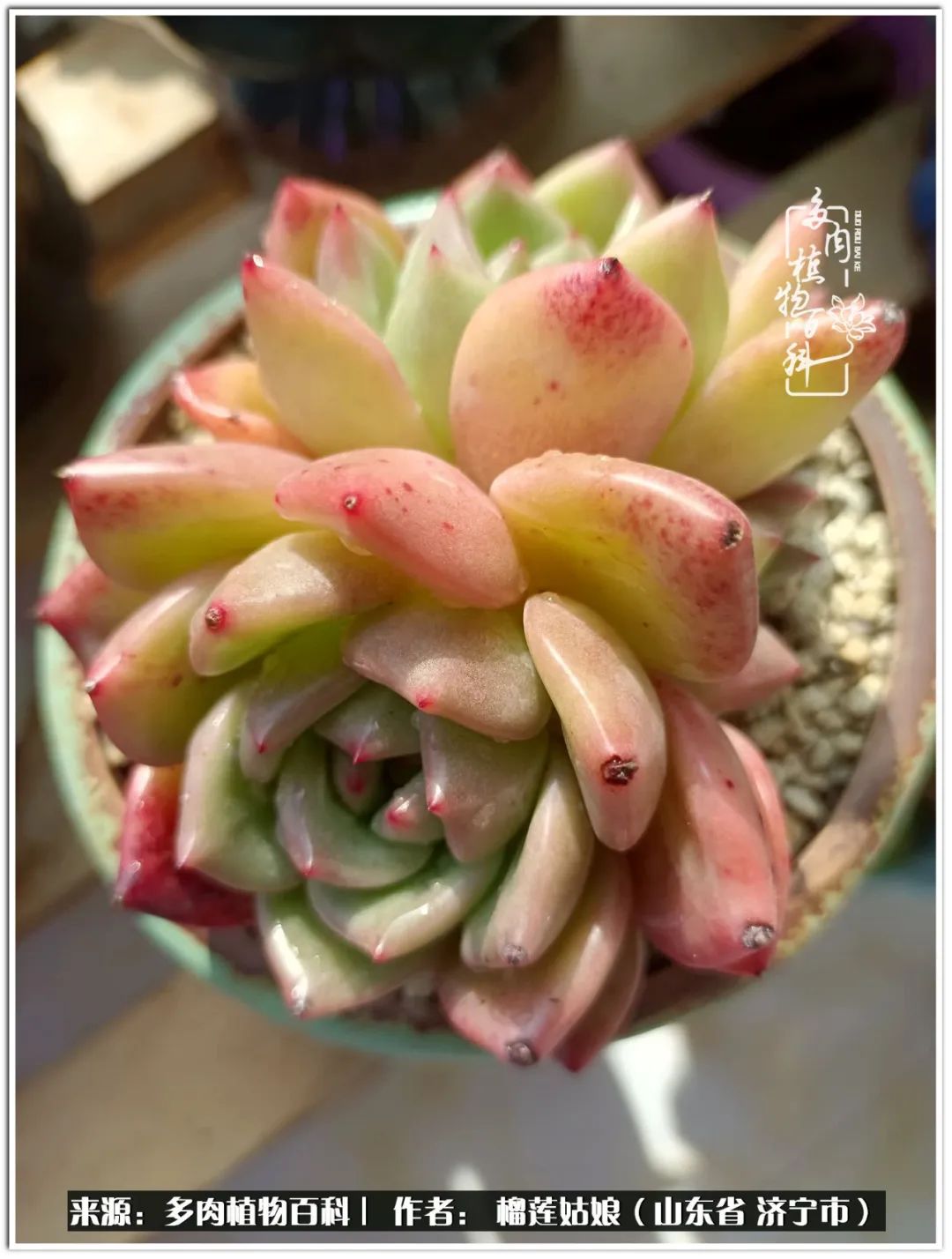 繁花似锦觅安宁淡如流水度一生,繁花似锦觅安宁淡云流水度人生