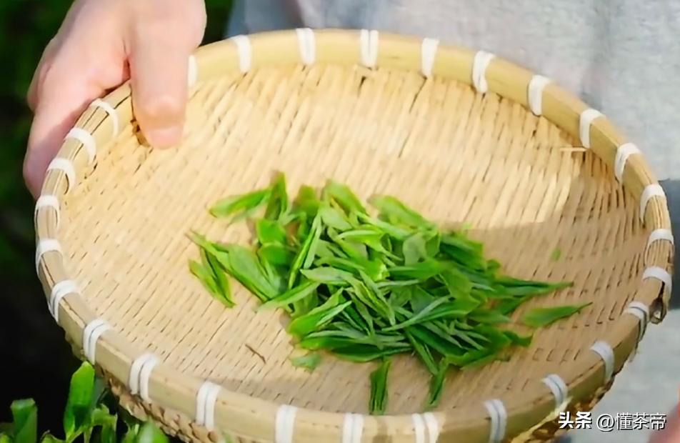 向往的生活柴米油盐,向往的生活推荐的茶