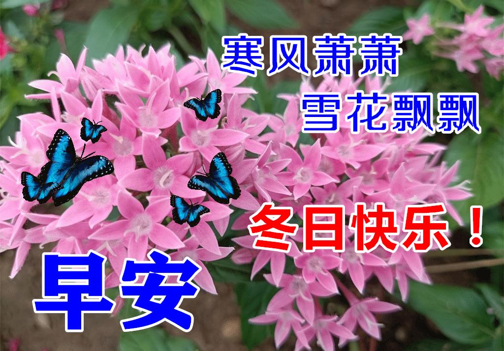 早晨好表情图片大全大图,下雨天的早晨好动态表情图片