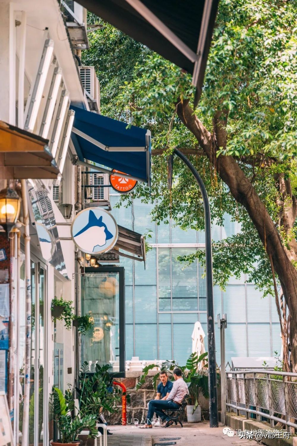 香港自助旅游攻略最新,来香港玩如何不花钱