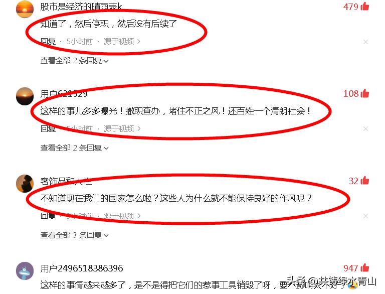 南京晓庄学院，一举成名天下知，力压清华北大，杨某学书记最辛苦