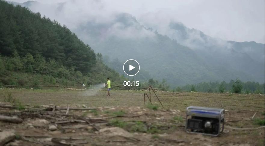 我要把拉马拍成阿甘